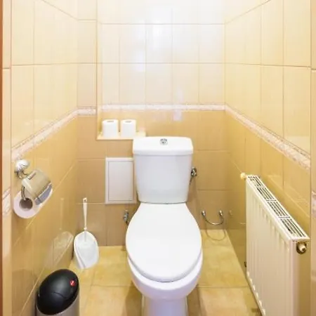 Do Lvova Apartment Lviv